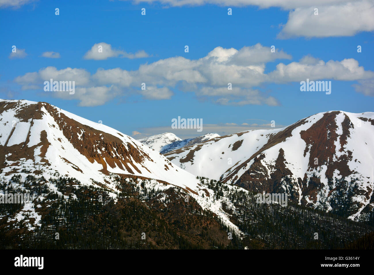 Coperte di neve montagne di pietra con alberi di pino ad altitudini più basse Foto Stock