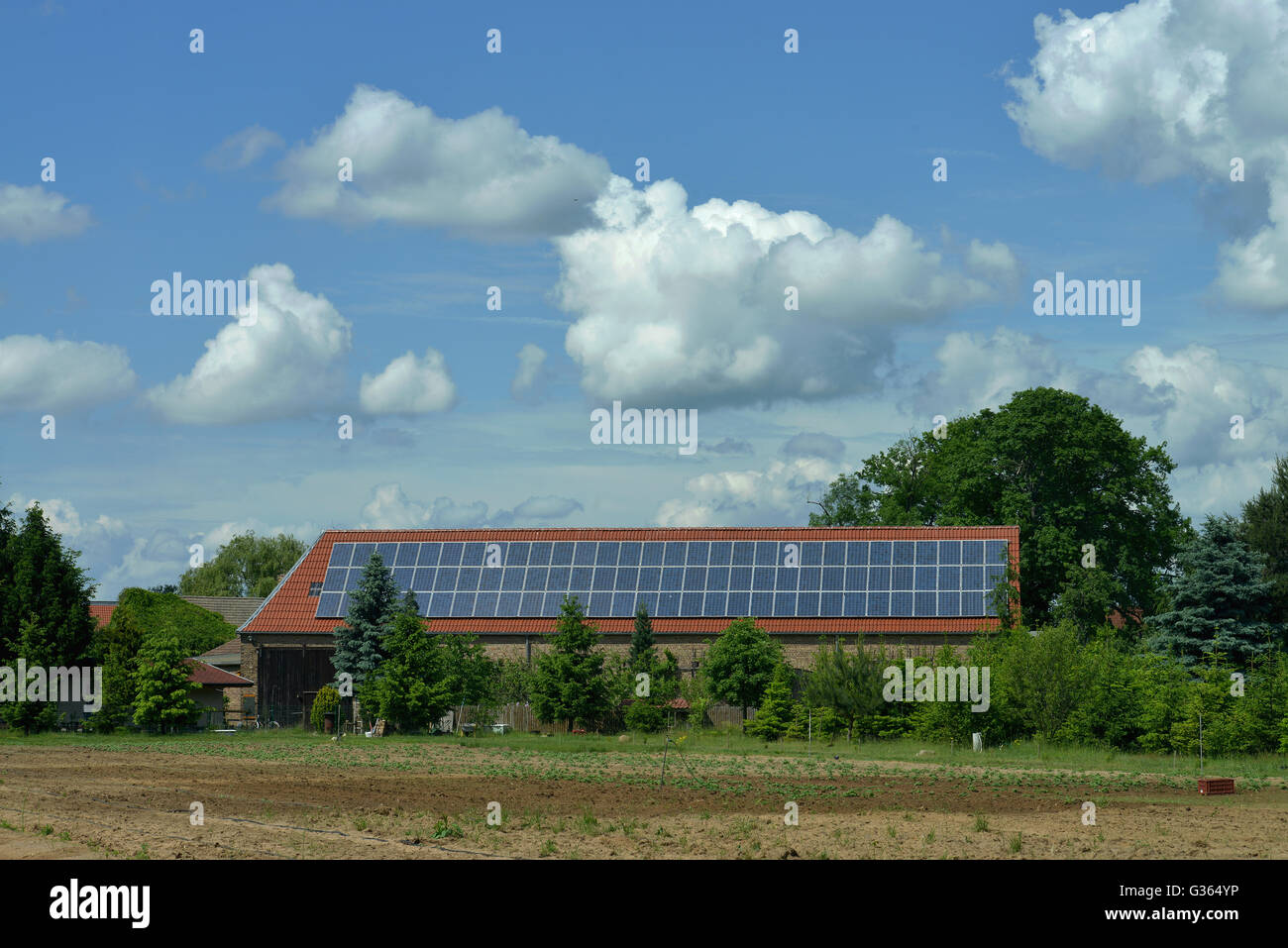 Fienile con pannelli solari, Brandeburgo, Germania Foto Stock