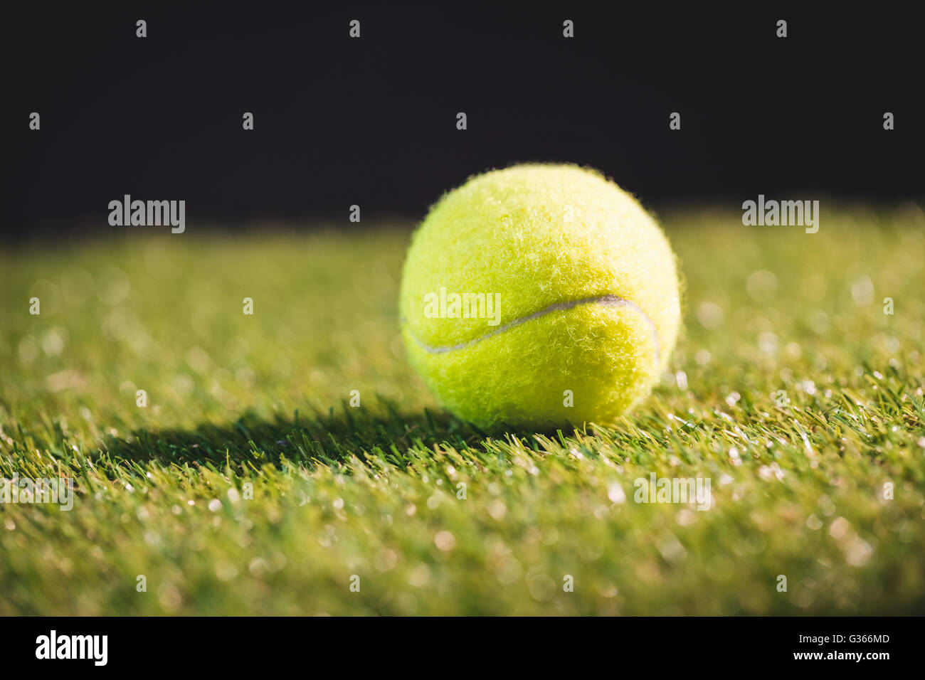 Close up della palla da tennis Foto Stock