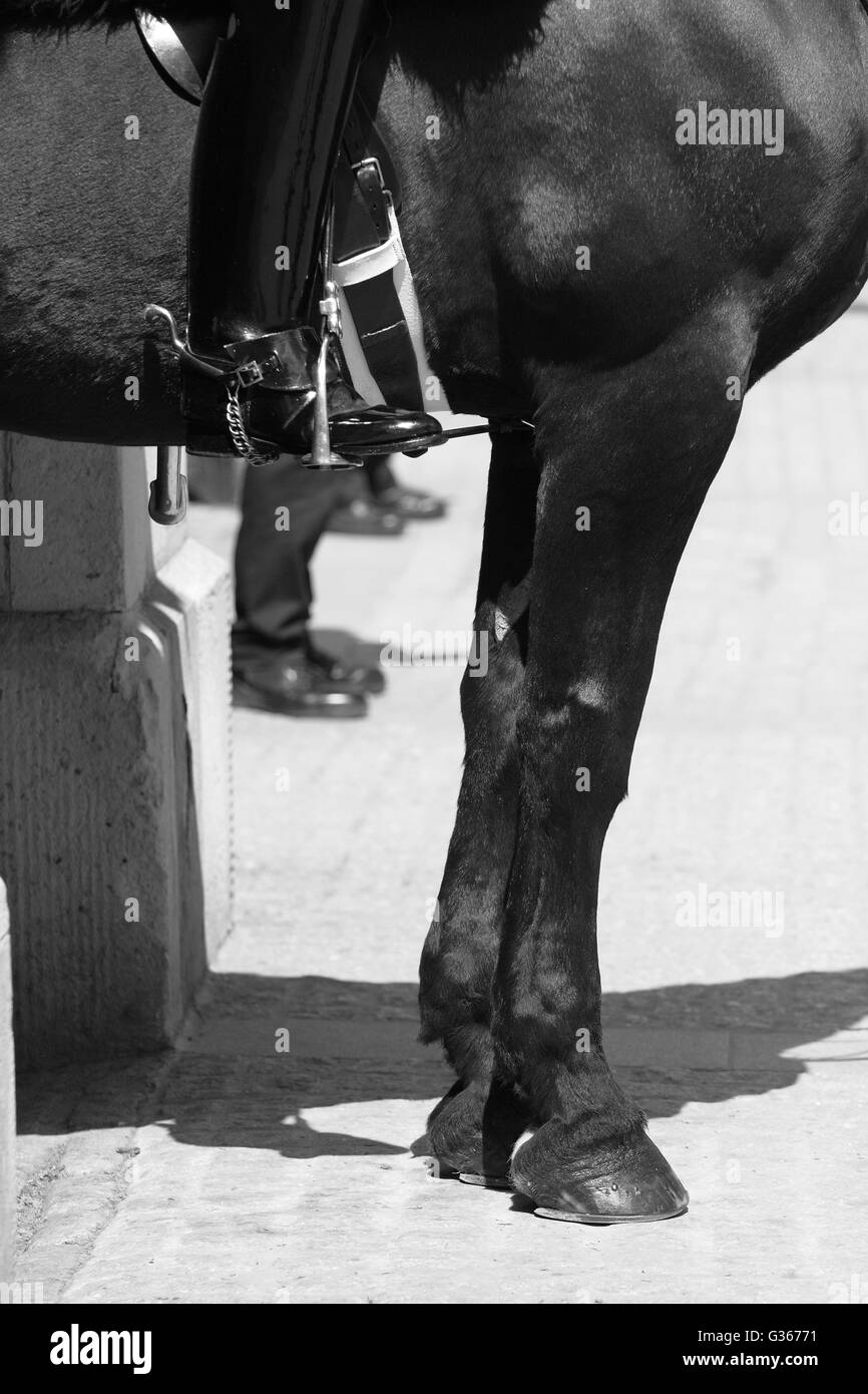 Le gambe di un membro della regina della casa della cavalleria (cavallo e protezione) e due poliziotti di Whitehall lato della sfilata delle Guardie a Cavallo. Foto Stock