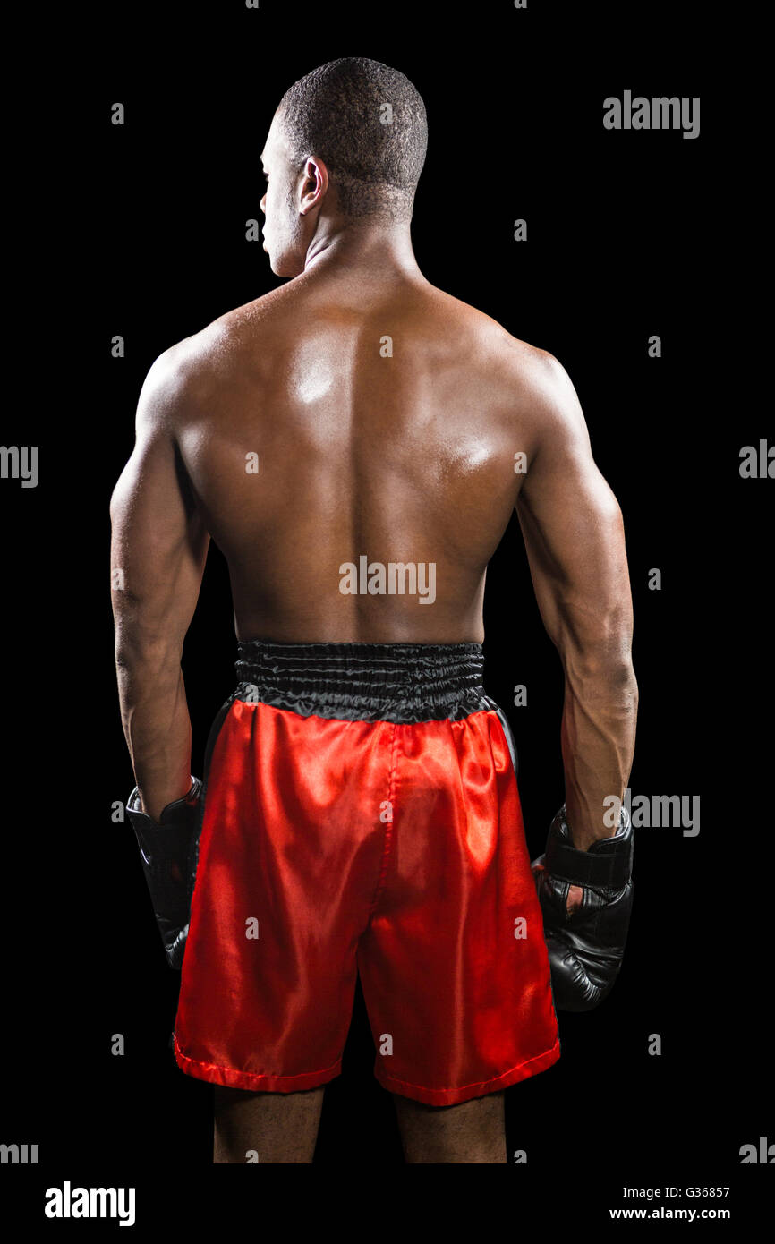 Vista posteriore del boxer in piedi Foto Stock