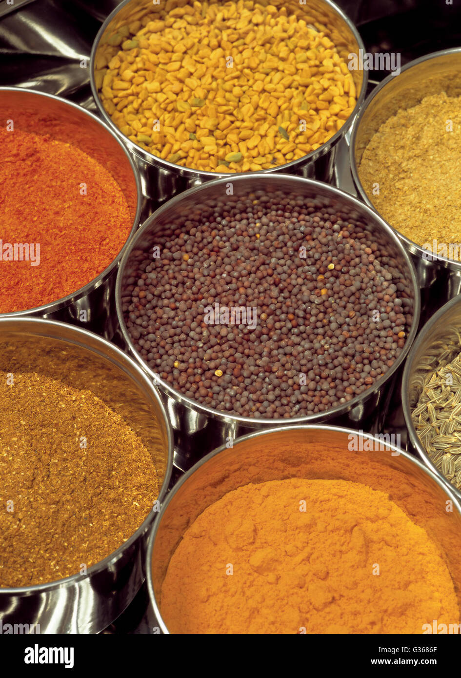 Foto di spezie indiane - Masala scatola contenente fieno greco, curry, garam, nero semi di senape, chili di semi di cumino. Foto Stock