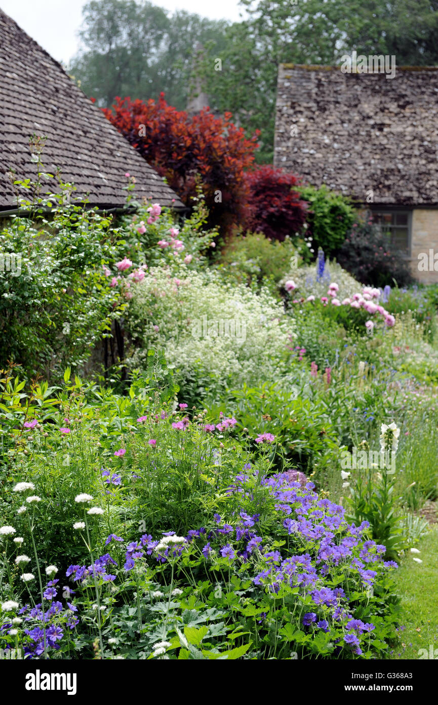 Herbaceous borders in un cottage Inglese garden REGNO UNITO Foto Stock