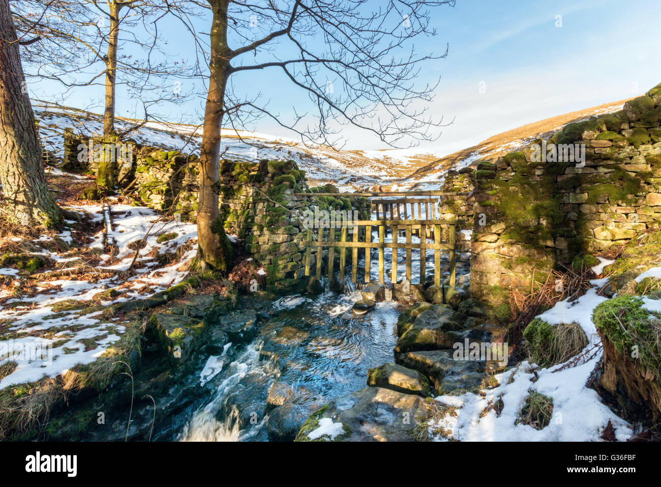 Bowlees Beck, Barnard Castle, Durham Foto Stock