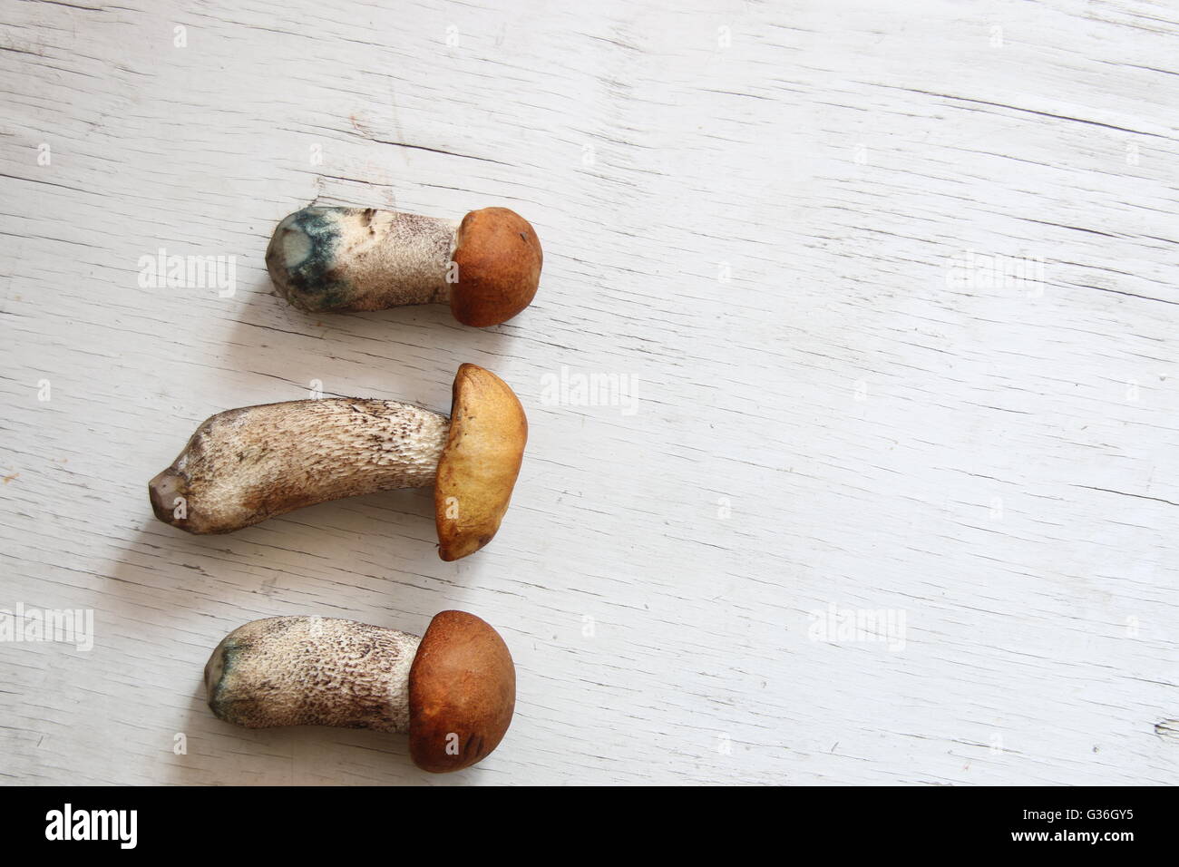 I funghi selvatici sulla vecchia tabella sfondo alimentare Foto Stock