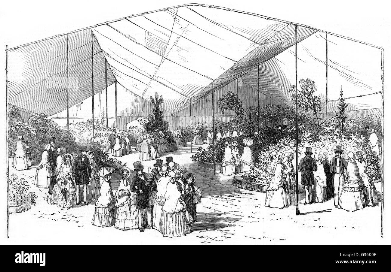 American Plants, Royal Botanic Society, Regents Park Foto Stock