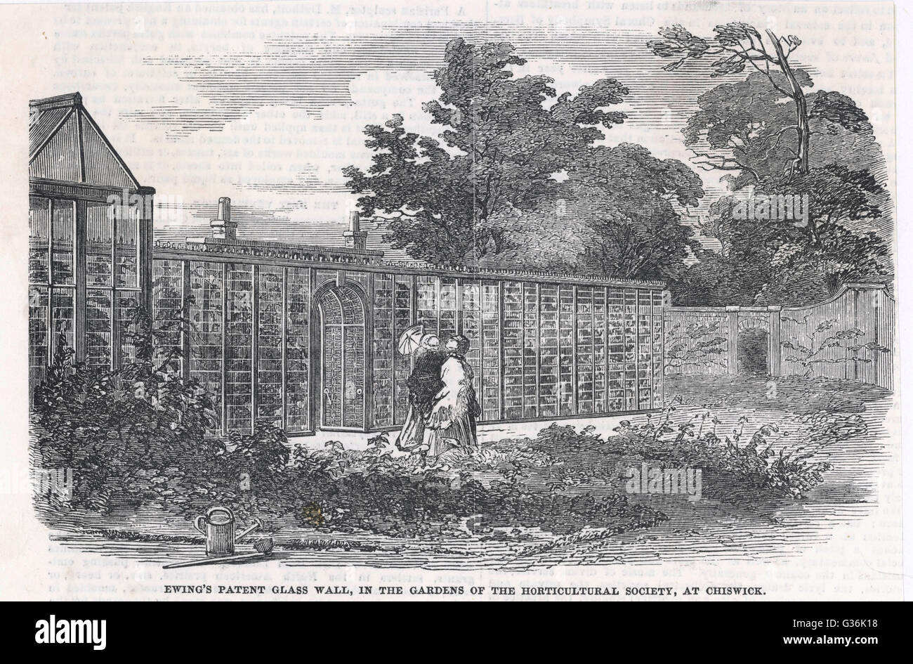 Parete di vetro di Ewing, Chiswick, Londra 1852 Foto Stock