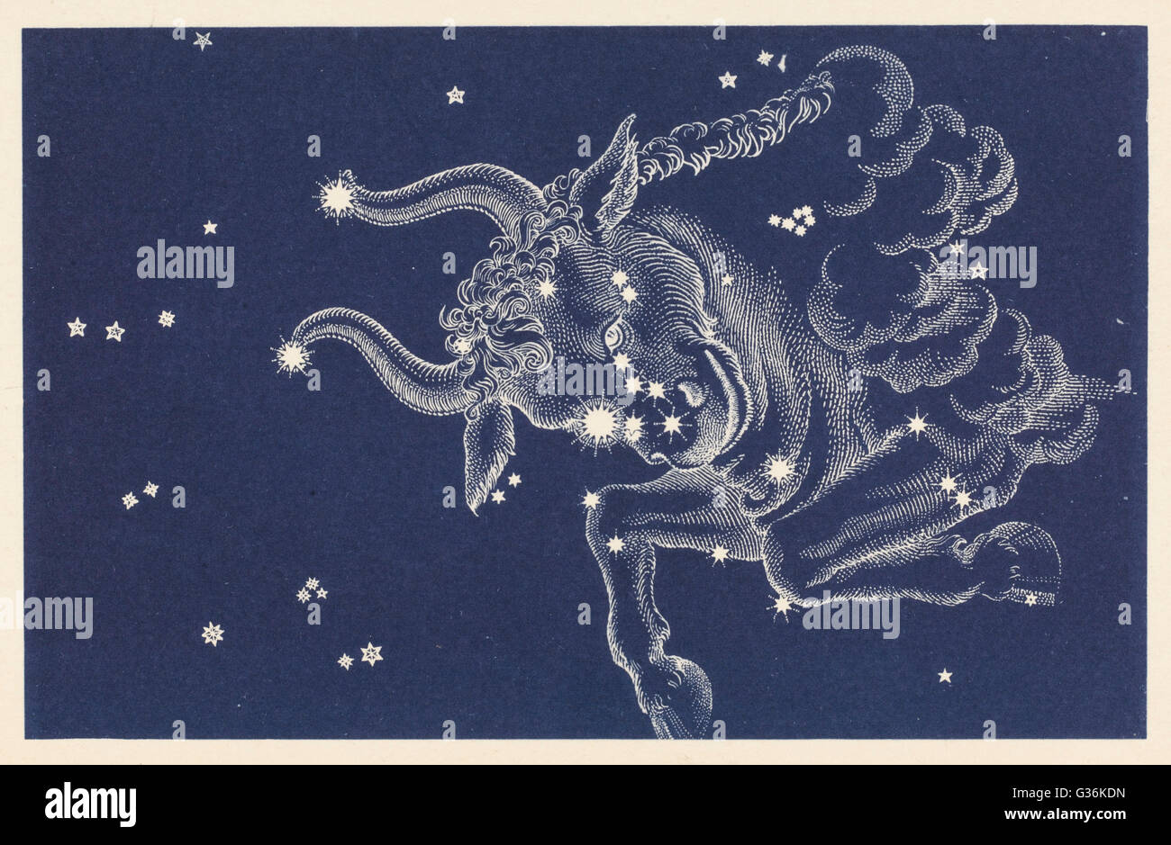 Toro della costellazione immagini e fotografie stock ad alta