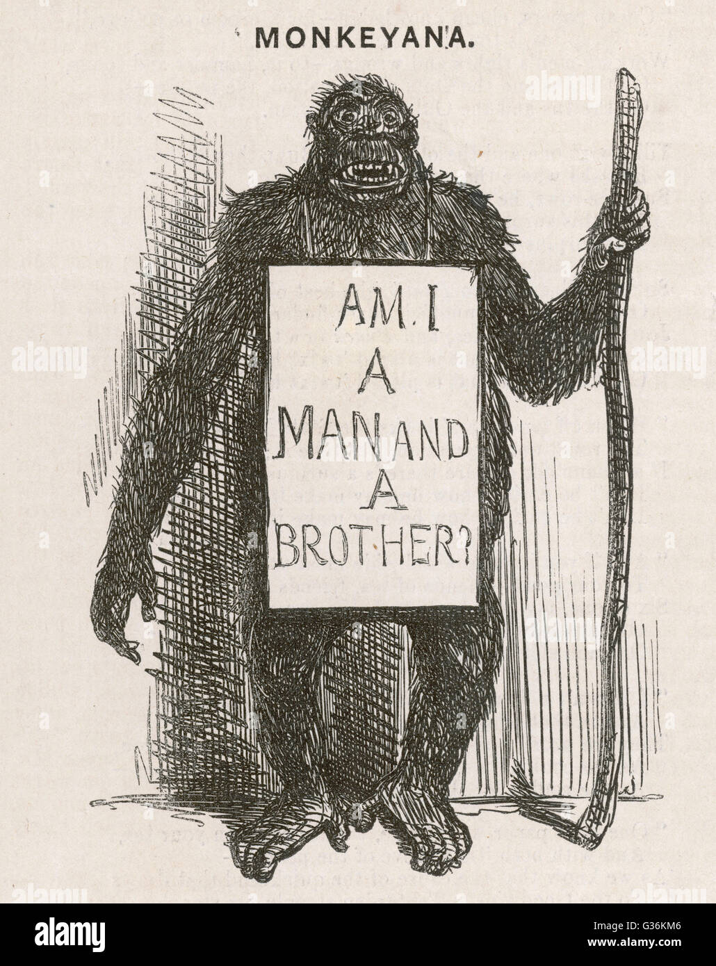 La satira di Charles Darwin. La sua teoria di evoution è satirised come Monkeyana - Io sono un uomo e un fratello? Data: 1861 Foto Stock