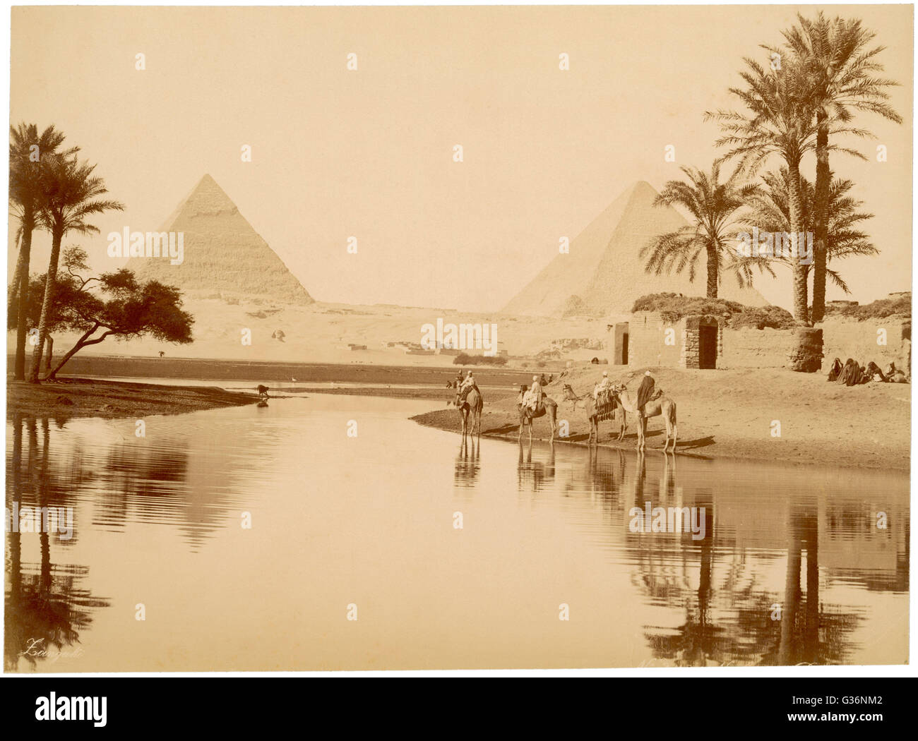 Le Piramidi di Giza in Egitto, con acqua, alberi e cammelli in primo piano. Data: circa 1890 Foto Stock