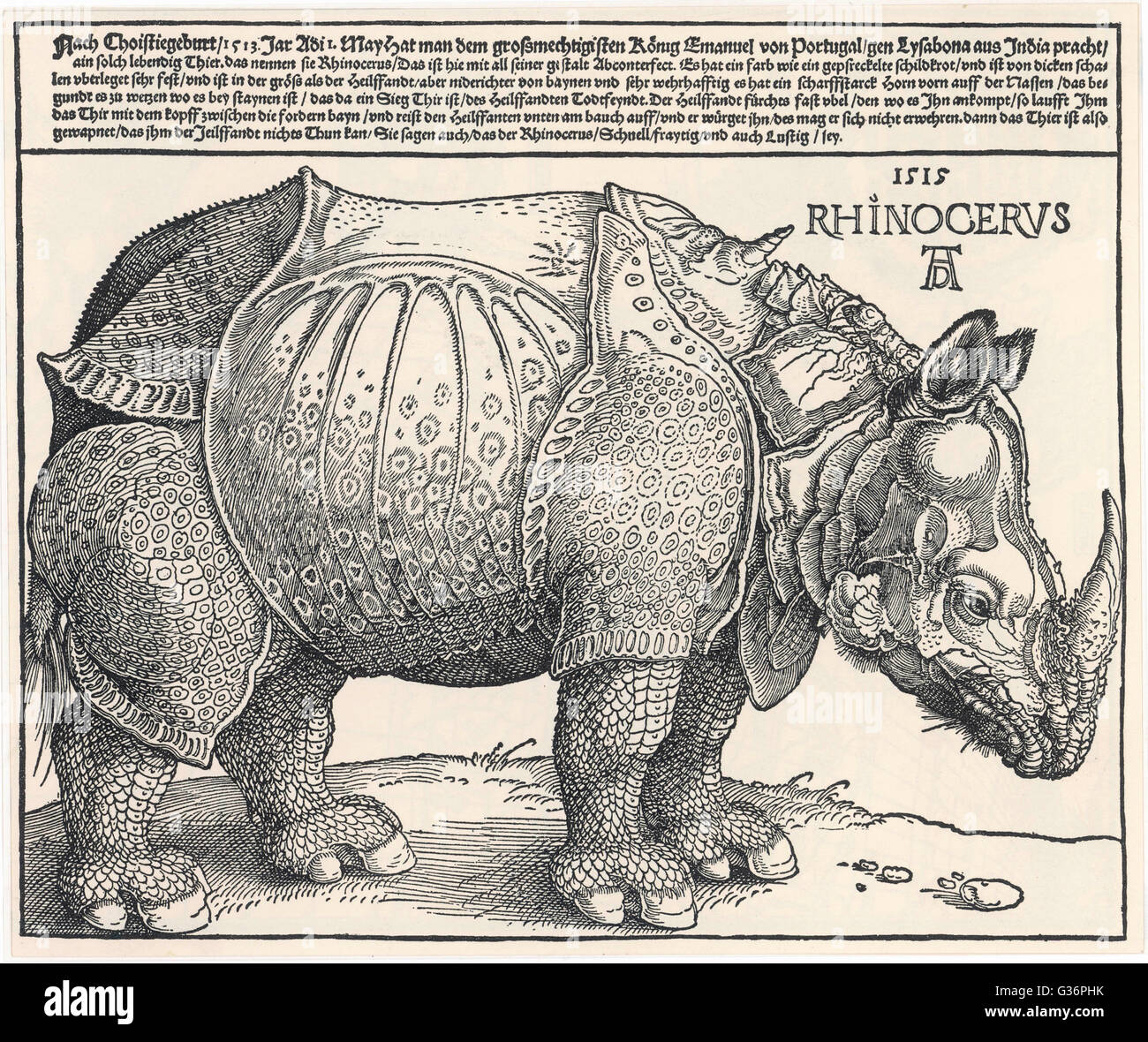 Un rinoceronte indiano, è la più grande delle specie asiatiche, come raffigurato da Albrecht Dürer. Esso presenta una spessa, grigio scuro nascondere che si piega come armatura. Durer ha basato la sua famosa immagine su una descrizione scritta e un abbozzo, così la sua versione è un po' inac Foto Stock