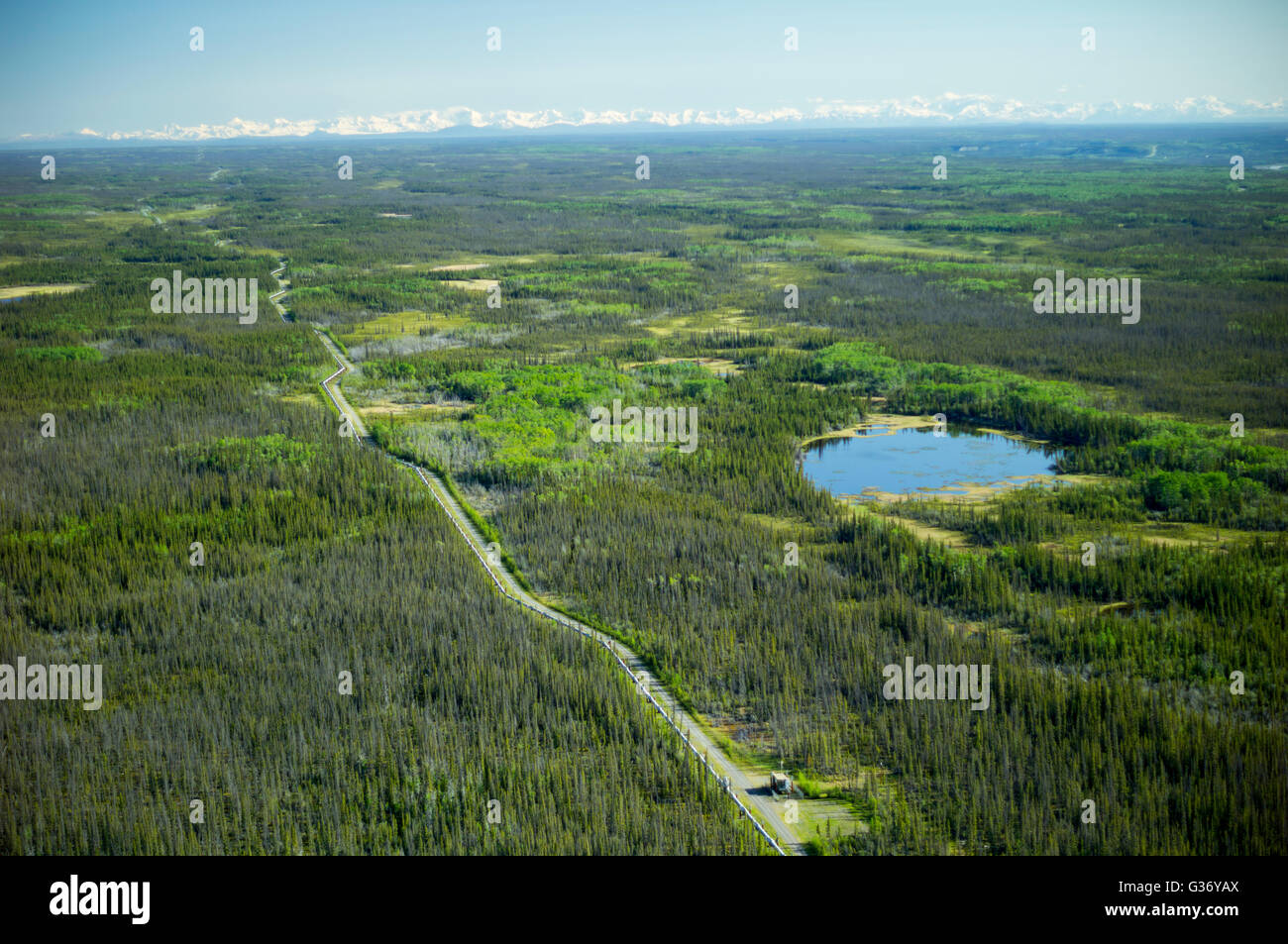 Una foto aerea del gasdotto Trans Alaska Oil in Alaska USA Foto Stock