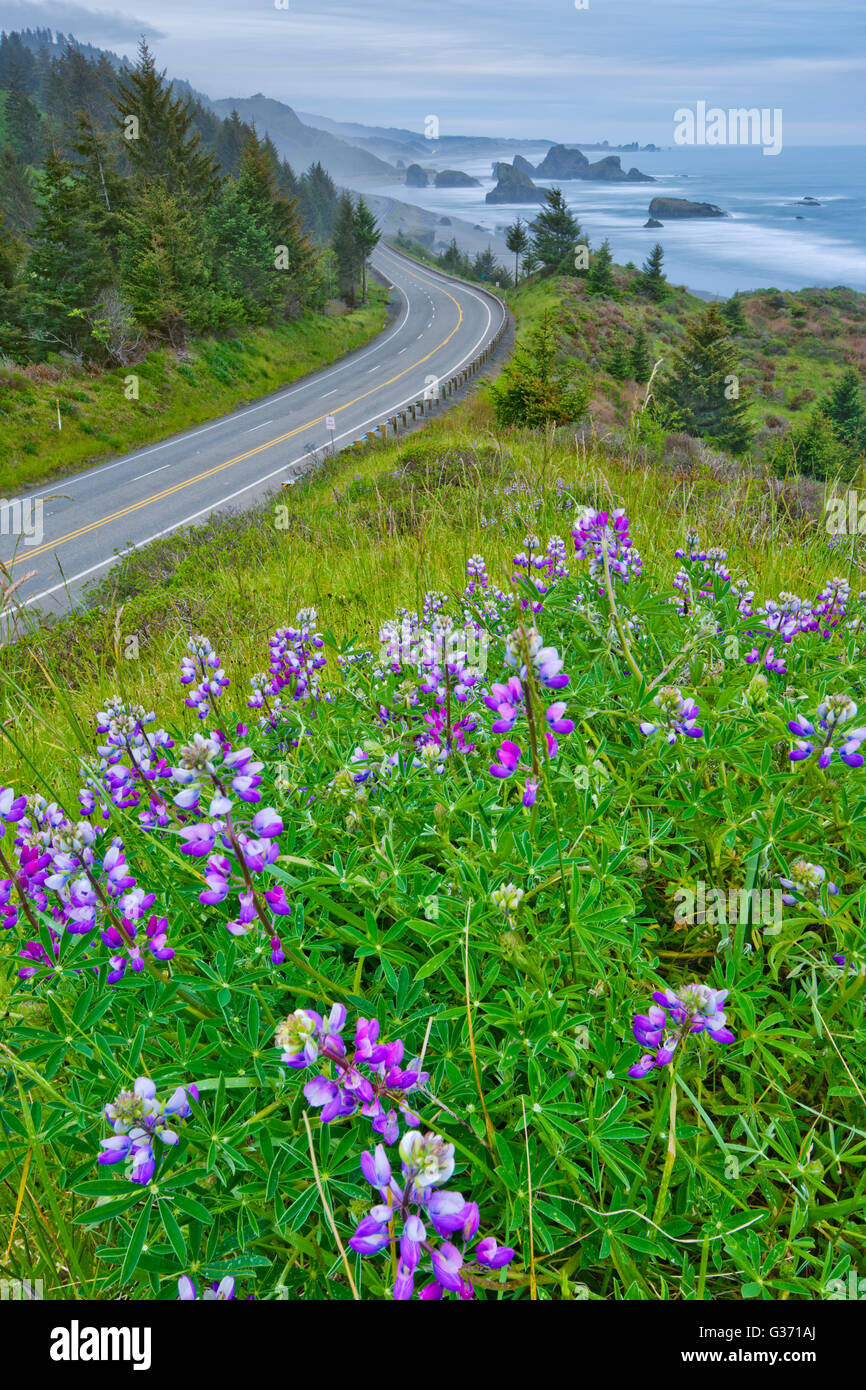 Pile di mare off Oregon Coast Foto Stock