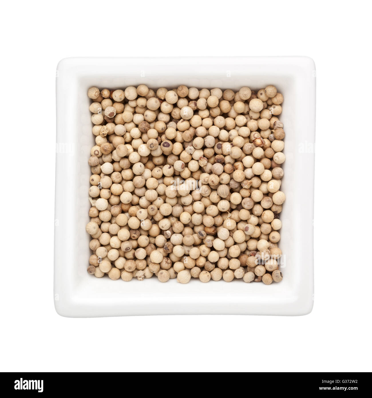 Pepe bianco in un recipiente quadrato isolato su sfondo bianco Foto Stock