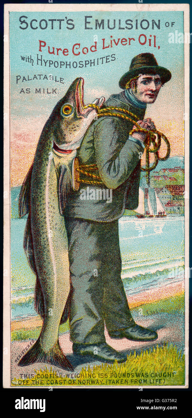 Questo annuncio per Scott di emulsione di olio di fegato di merluzzo offre  un baccalà del peso di 70,76 kg catturati al largo della costa norvegese,  Data: 1890s Foto stock - Alamy