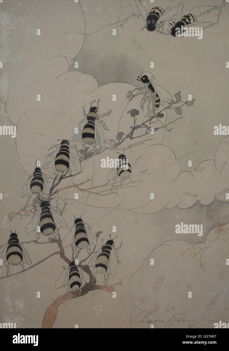 Api di Charles Robinson, 1912 Foto Stock