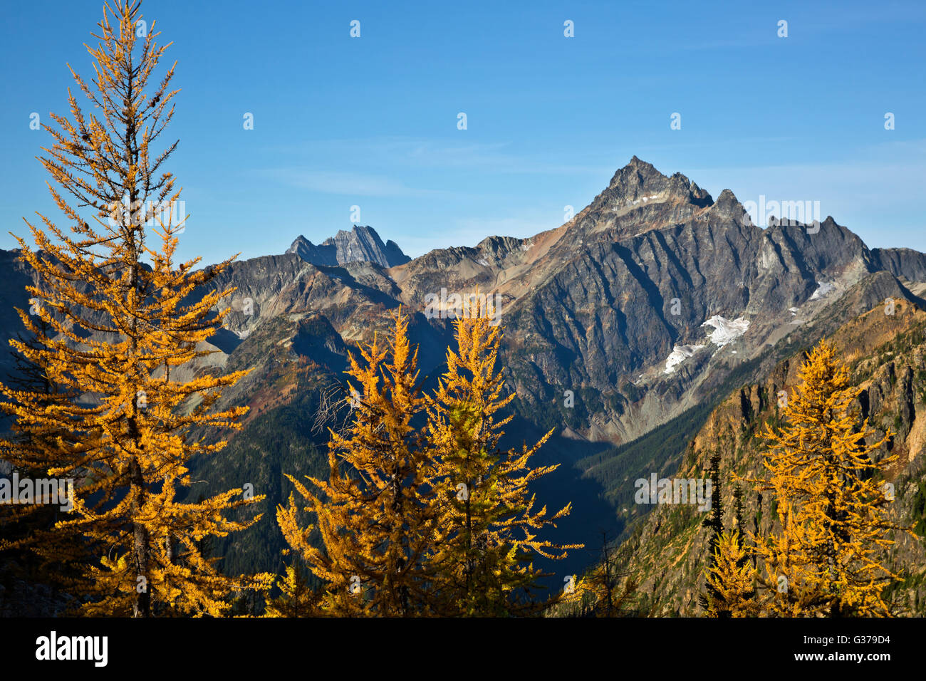 WA12717-00...Washington - i larici in autunno a colori dal Pacific Crest Trail neat tagliagole passano nel North Cascades. Foto Stock