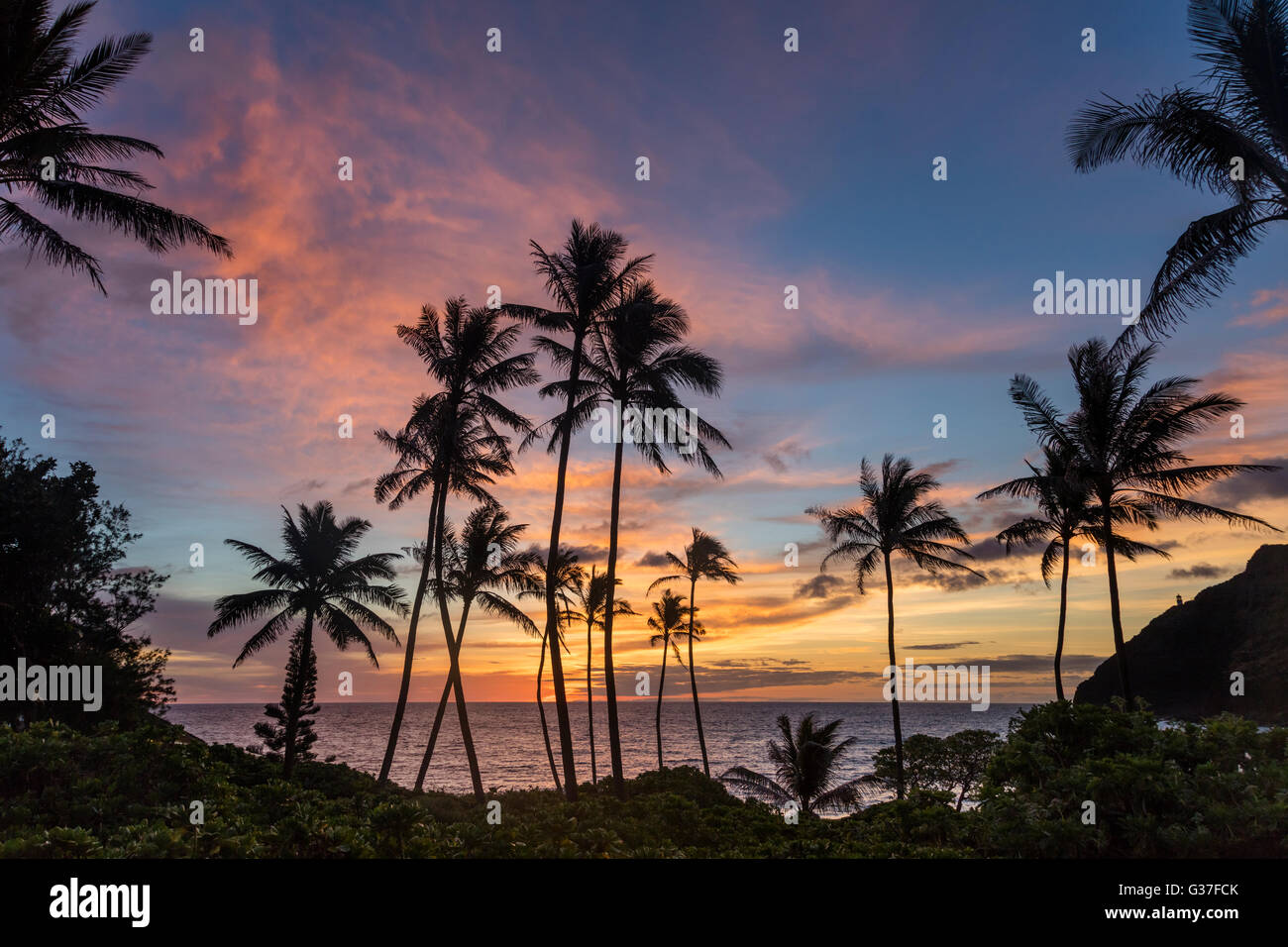 Un colorato sunrise Makapu all'u beach park su Oahu. Foto Stock