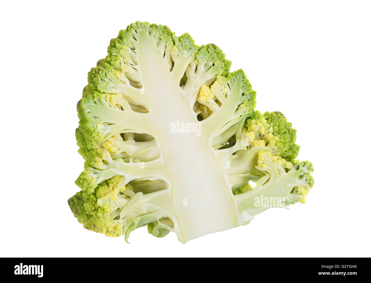 Cavolo broccolo Romanesco iolsted su sfondo bianco Foto Stock