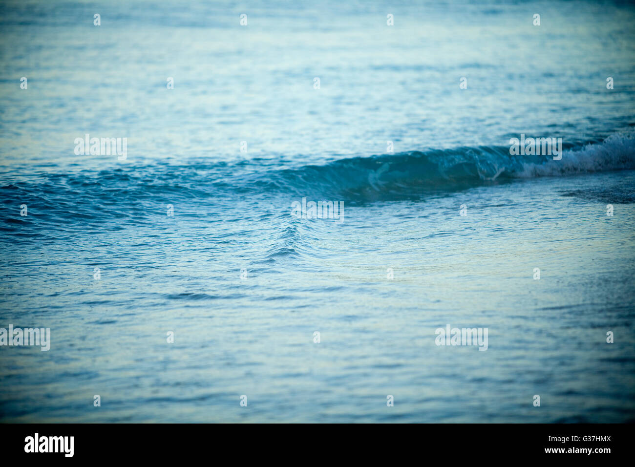 Primo piano della ocean, onde, spiaggia al tramonto o al crepuscolo in Hawaii. Foto Stock