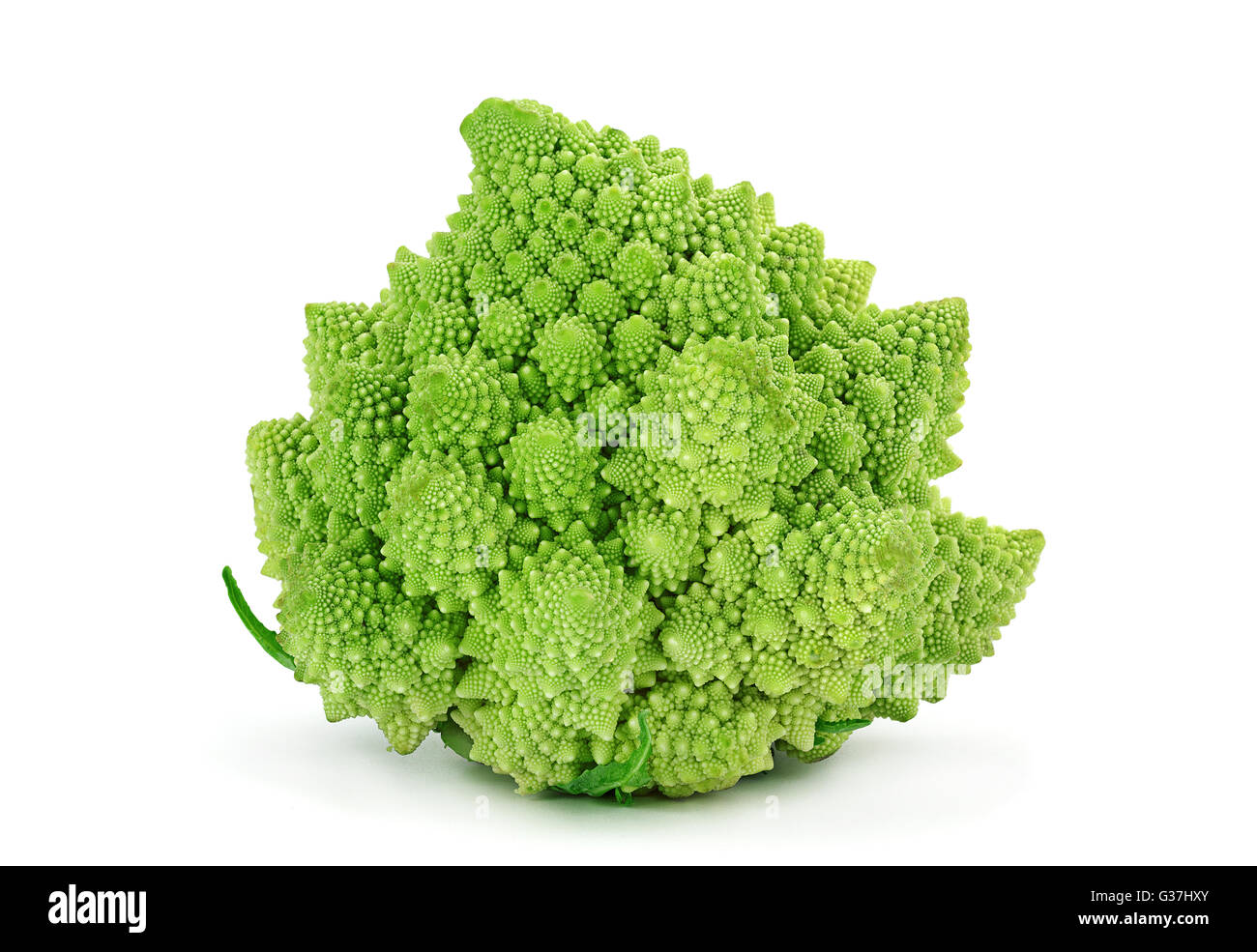 Cavolo broccolo Romanesco iolsted su sfondo bianco Foto Stock