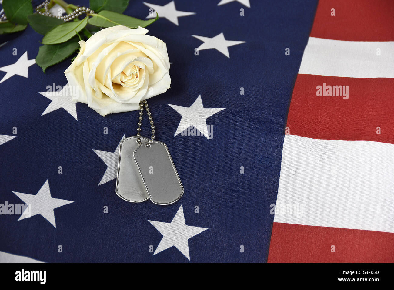 Singola rosa bianca con dog tags militari sulla bandiera americana. Foto Stock