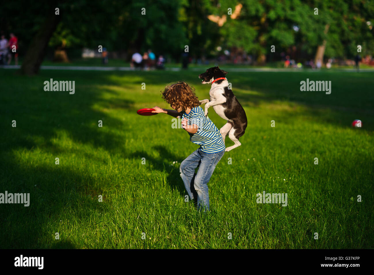 Il ragazzo treni un cane.In un giardino estivo del ragazzo di 8-9 anni suona con un cane.In una mano al ragazzo di un disco.altamente saltato cane trie Foto Stock