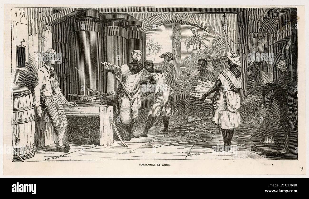 Zuccherificio, Giamaica 1849 Foto Stock