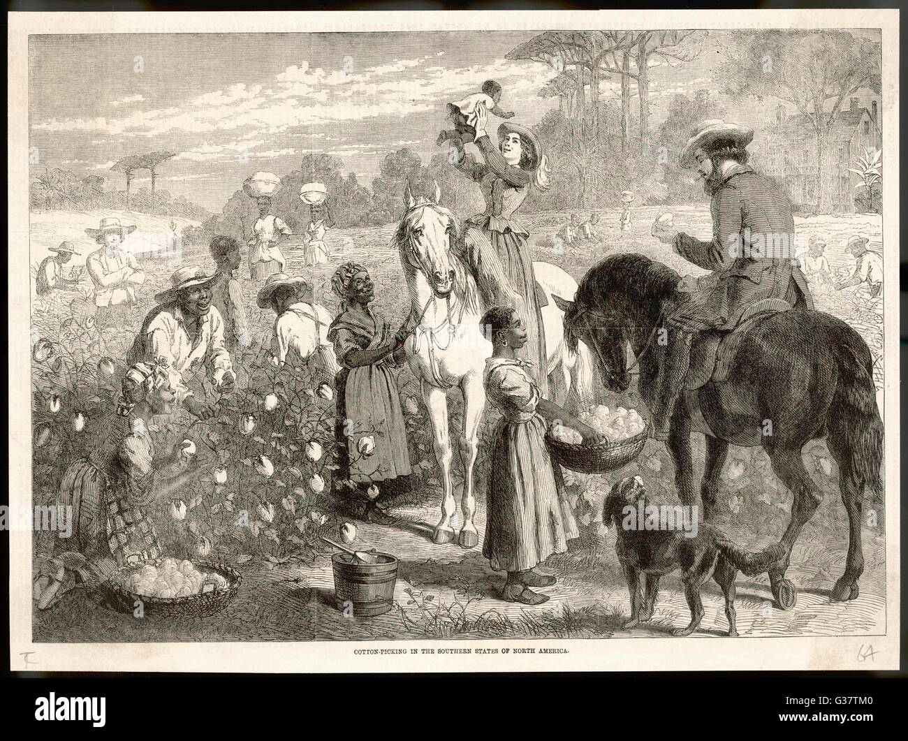 Contenti schiavi con una gentile maestro, raccolta di cotone nel sud degli Stati Uniti di America del Nord - Data: 1864 Foto Stock