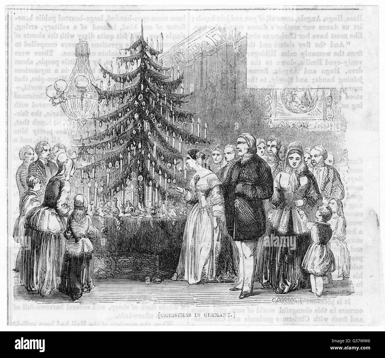 Albero di tedesco Foto Stock