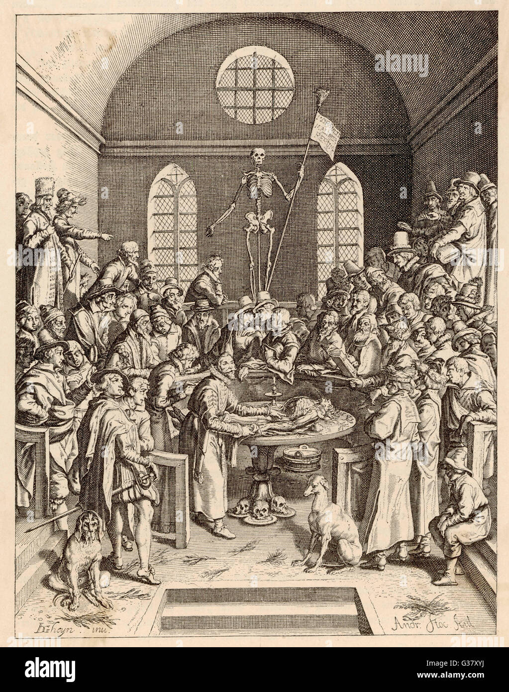 Anatomia Del Xvi Secolo Immagini e Fotos Stock Alamy