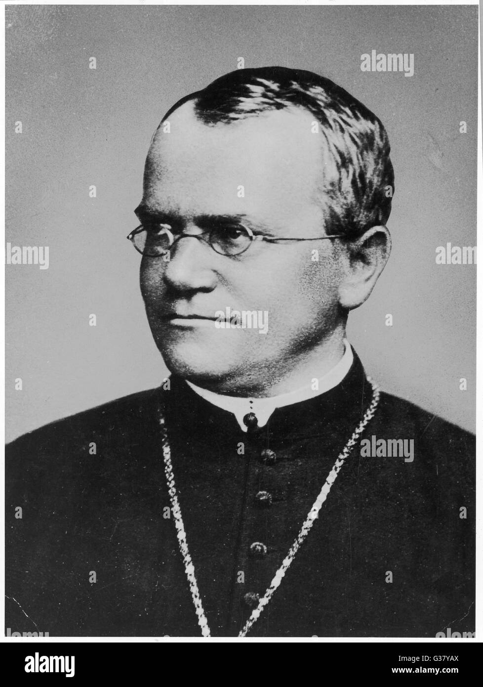 Johann Gregor Mendel(1822-1884), botanico austriaco. Foto Stock