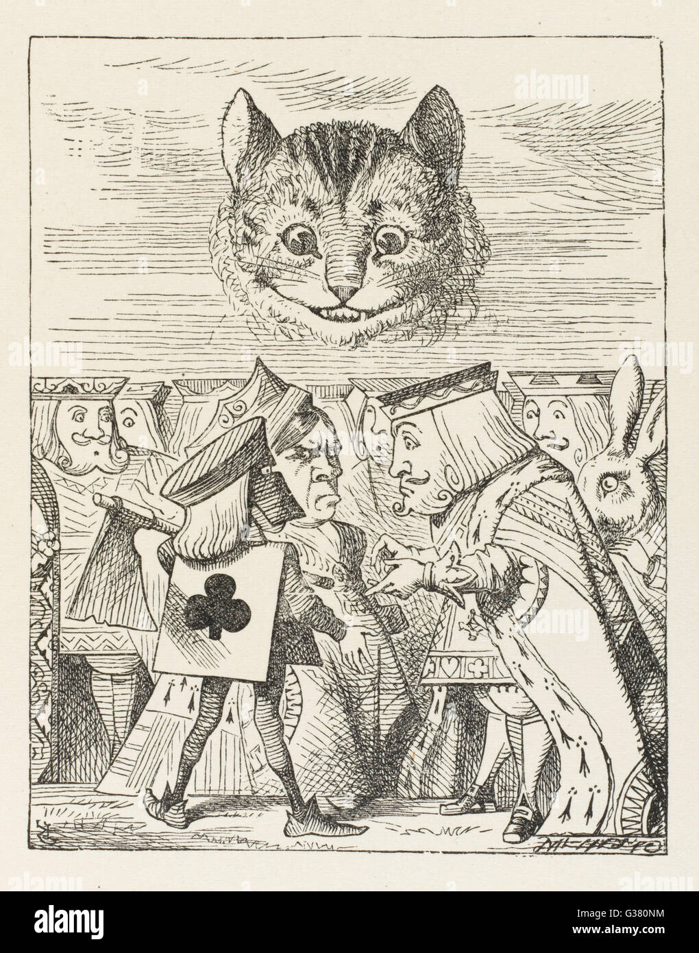 Cheshire testa di gatto Foto Stock