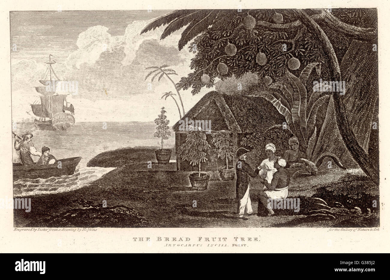 FRUTTA/PANE 1789 Foto Stock