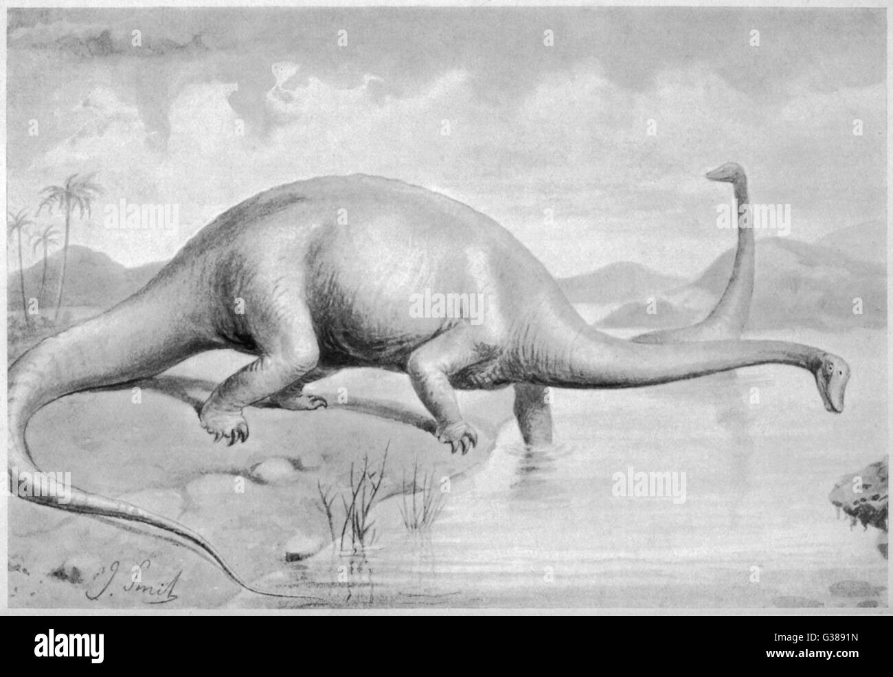 DIPLODOCUS CARNEGII che a 28 metri di lunghezza era il più grande dinosauro noto Foto Stock