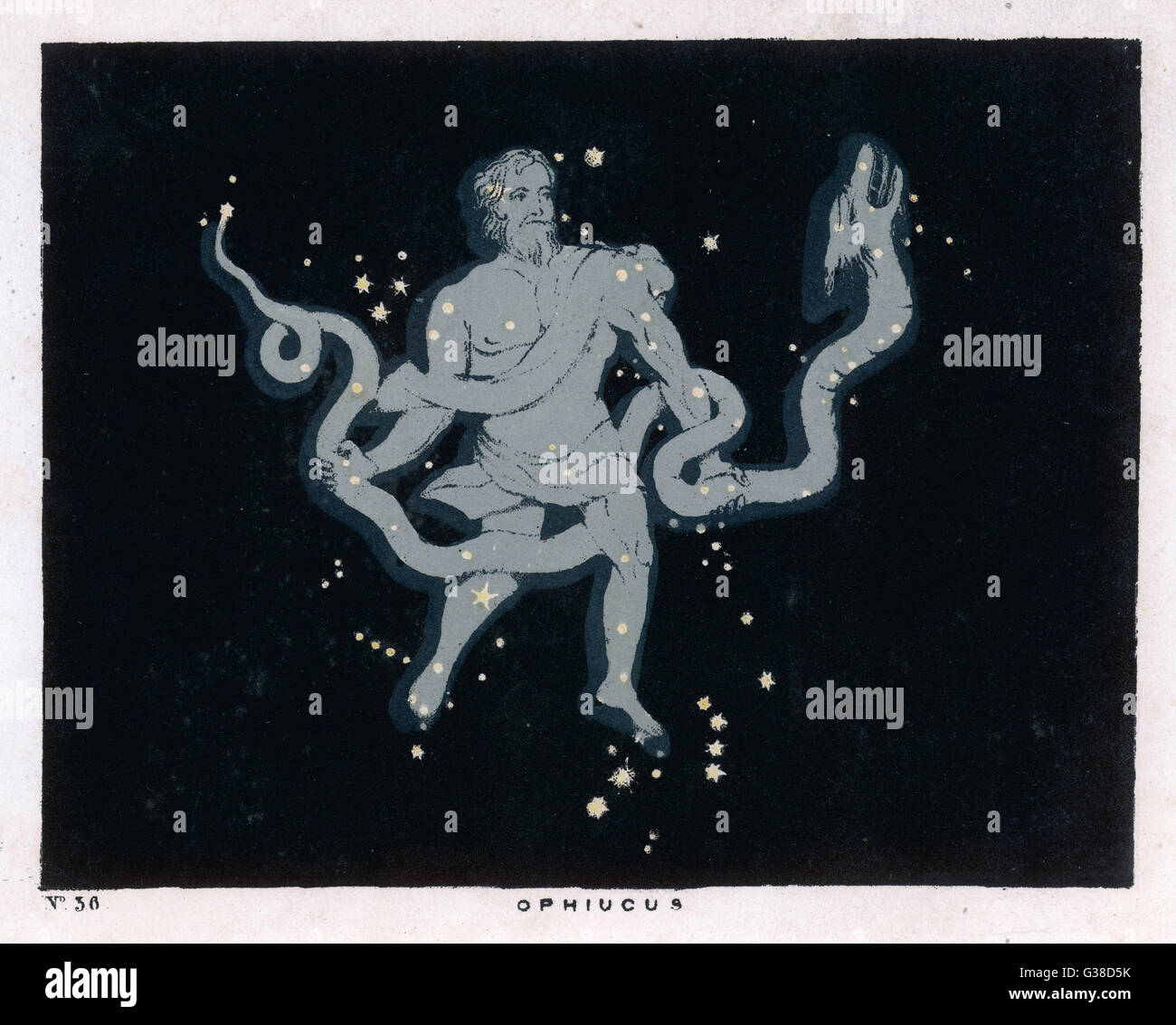 SMUSSATO/OPHIUCUS/PIASTRA 36 Foto Stock