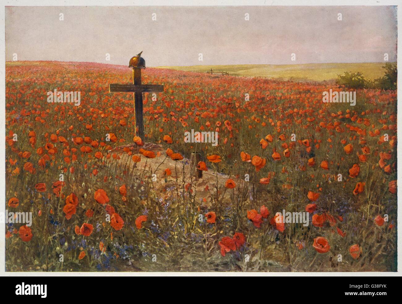 In Flanders Fields ... Una toccante scena di un campo pieno di papaveri dopo la Prima Guerra Mondiale. Data: circa 1919 Foto Stock