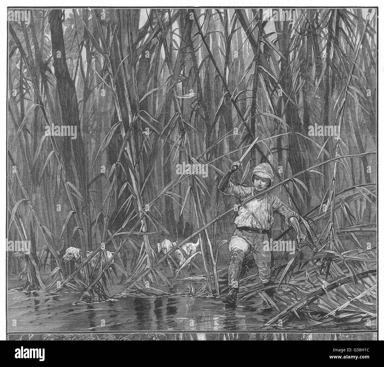 Un explorer hacking il suo modo attraverso la giungla di bambù in Birmania. Data: 1889 Foto Stock