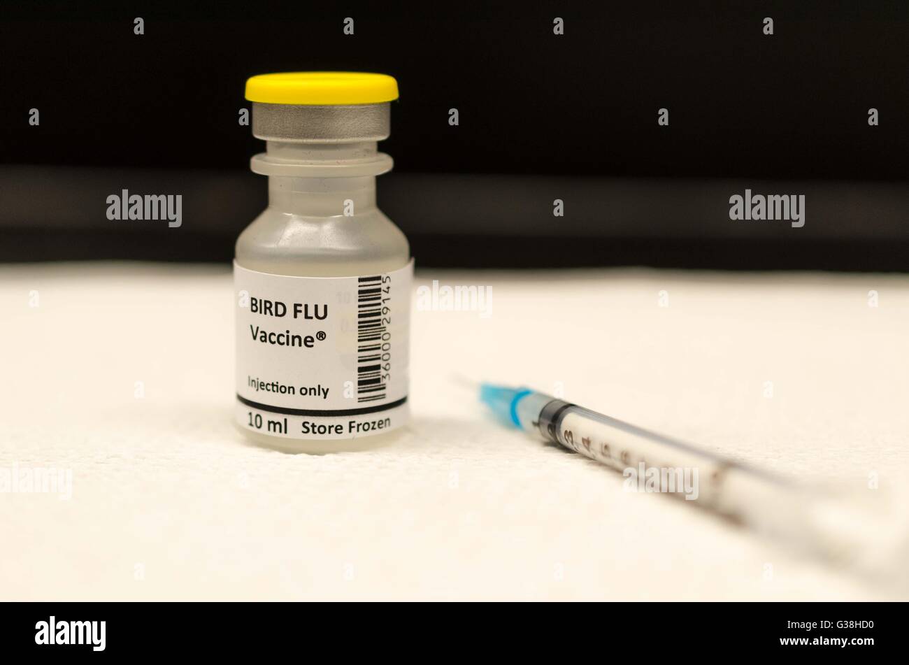 Influenza aviaria vaccino Foto Stock