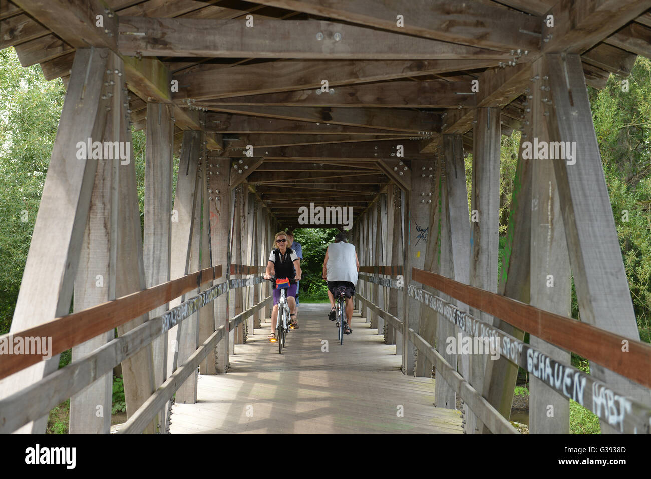 Ponte di legno Foto Stock