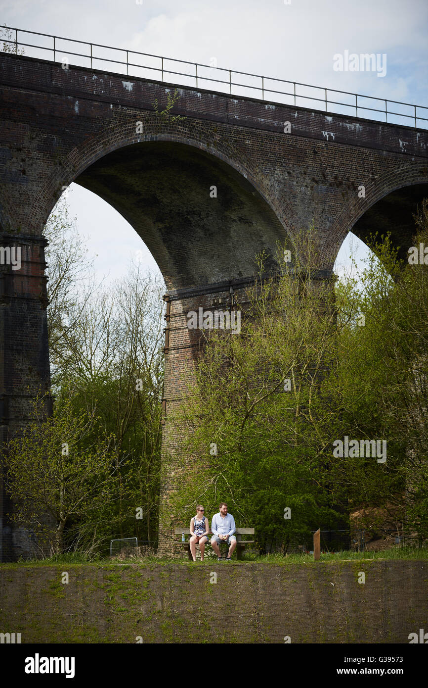 Reddish Vale viadotto Stockport country park sedici-arch viadotto in mattoni costruito nel 1875 per portare la speranza della linea a valle al di sopra della TA Foto Stock