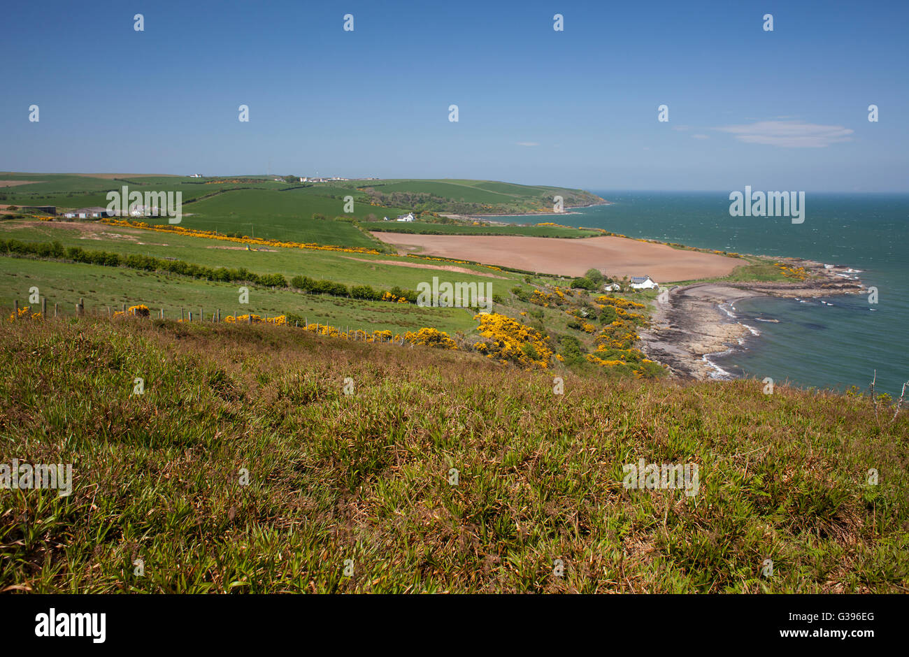 Rhinns di Galloway, Clachan Heughs sulla costa a bordo del Loch Ryan guardando verso il basso sulla Portbeg e fino verso Milleur punto in estate Foto Stock