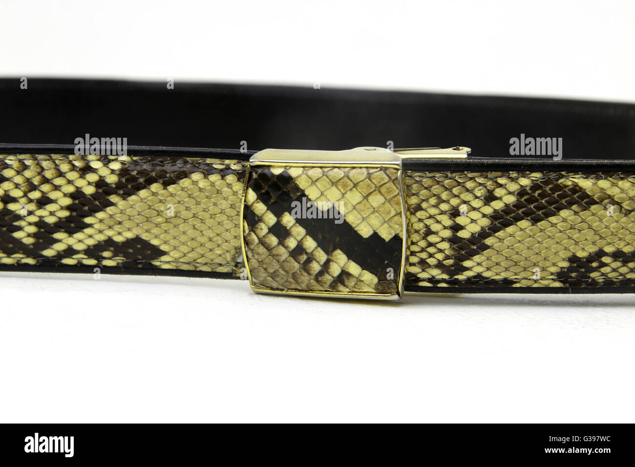 styleBREAKER Cintura donna con motivo a pelle di serpente e fibbia ad anello