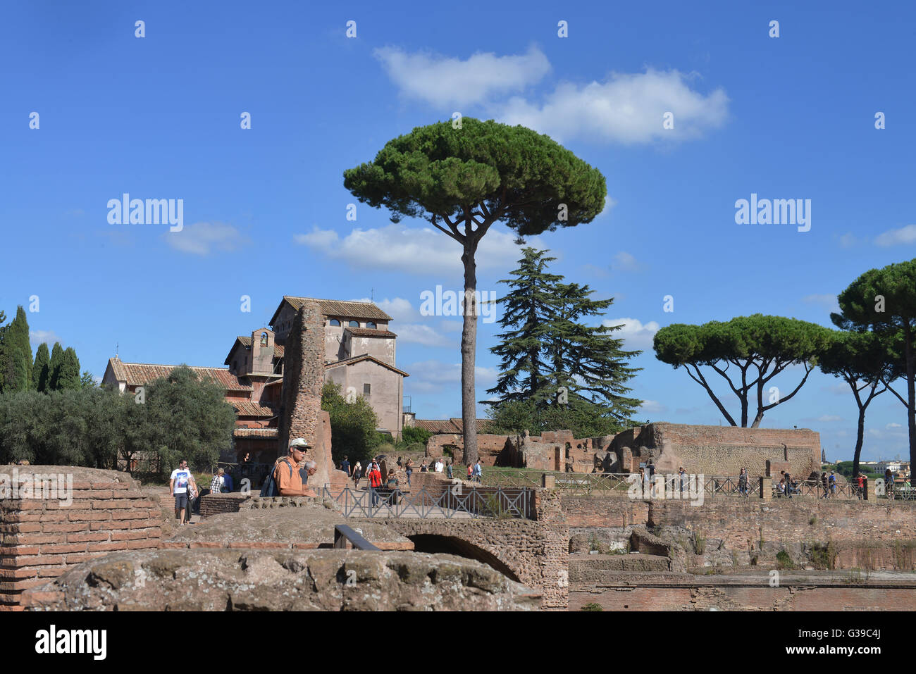 Ausgrabungen, Palatin, Rom, Italien Foto Stock