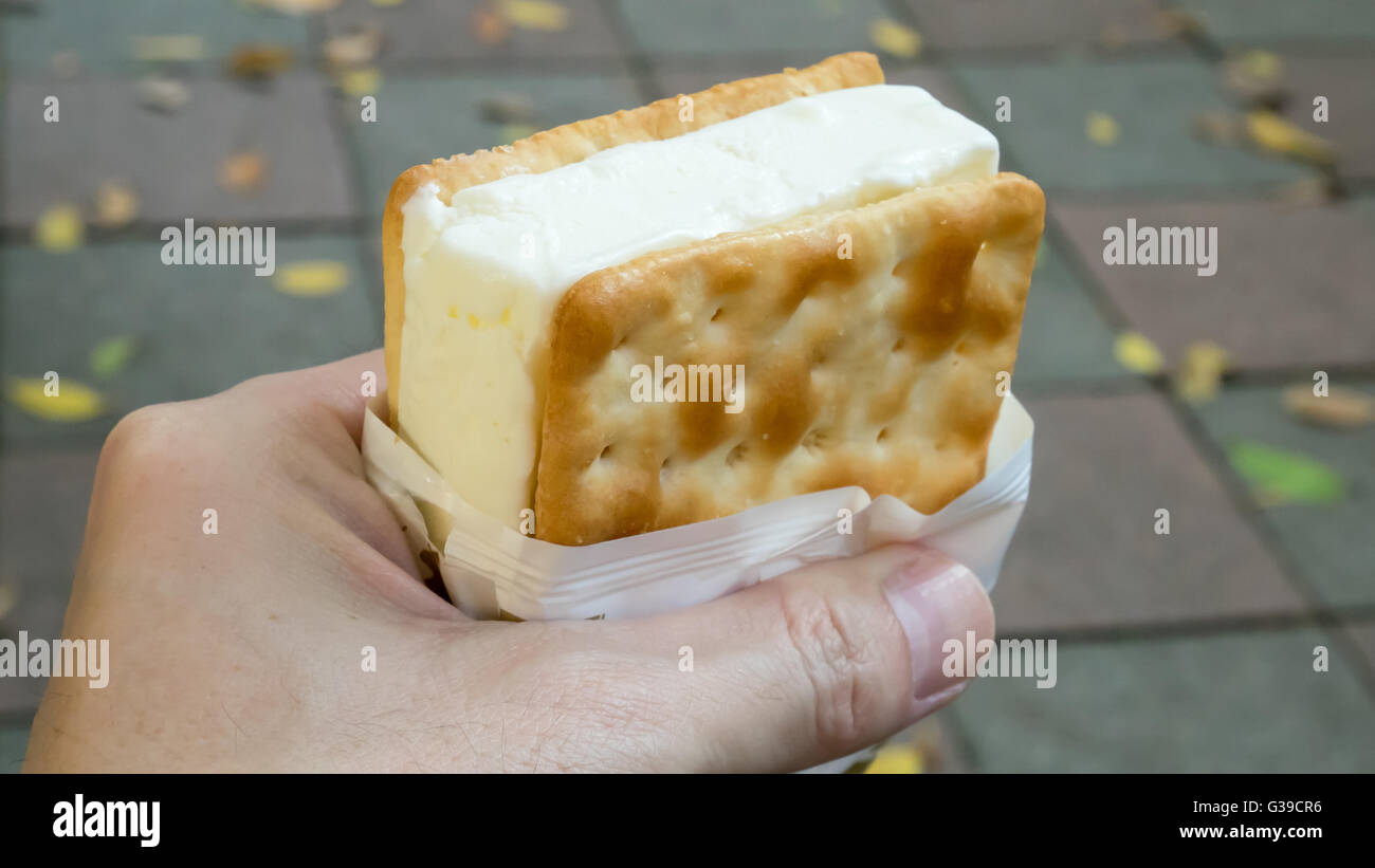 La chiusura del gustoso cracker ice cream sandwich. Foto Stock