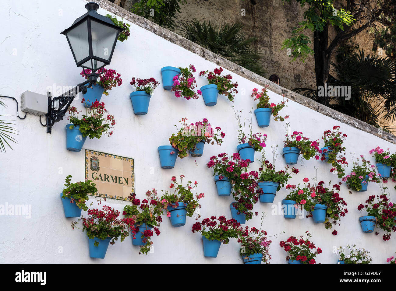 Fiori rossi in vasi da fiori blu nella città vecchia di Marbella Foto Stock