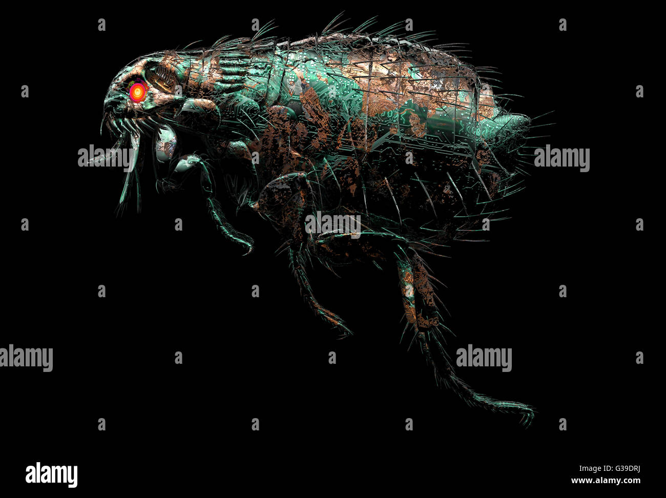 Sicurezza digitale concetto calcolatore elettronico bug isolato, 3D illustrazione Foto Stock