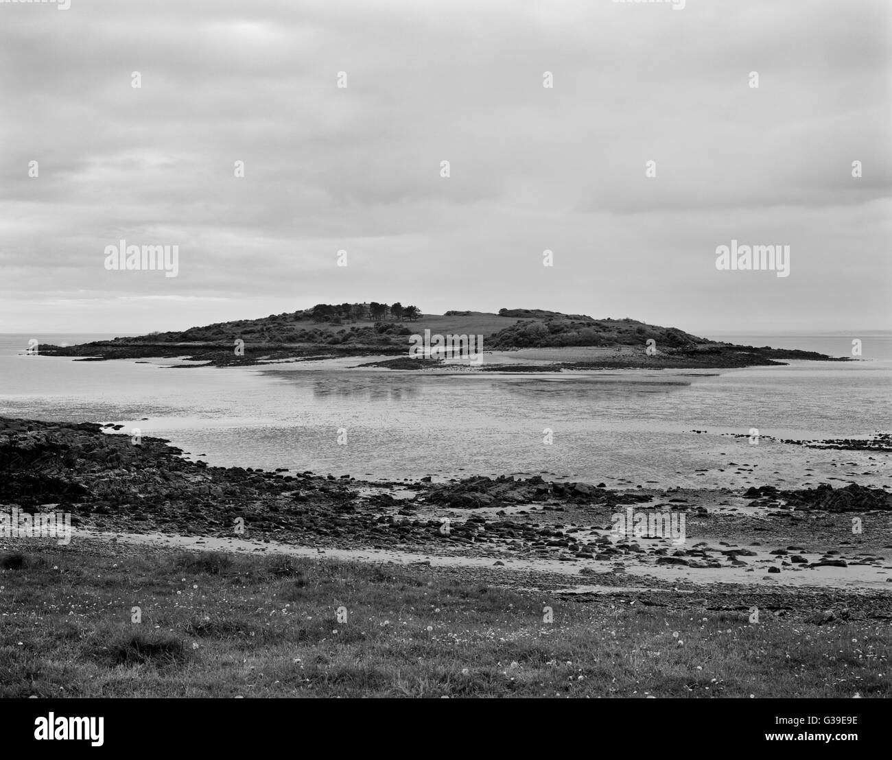 Visualizza SW di Ardwall Isola nell'estuario della flotta, un importante dei primi cristiani sito che ha iniziato in C6th come un cimitero inhumation Foto Stock