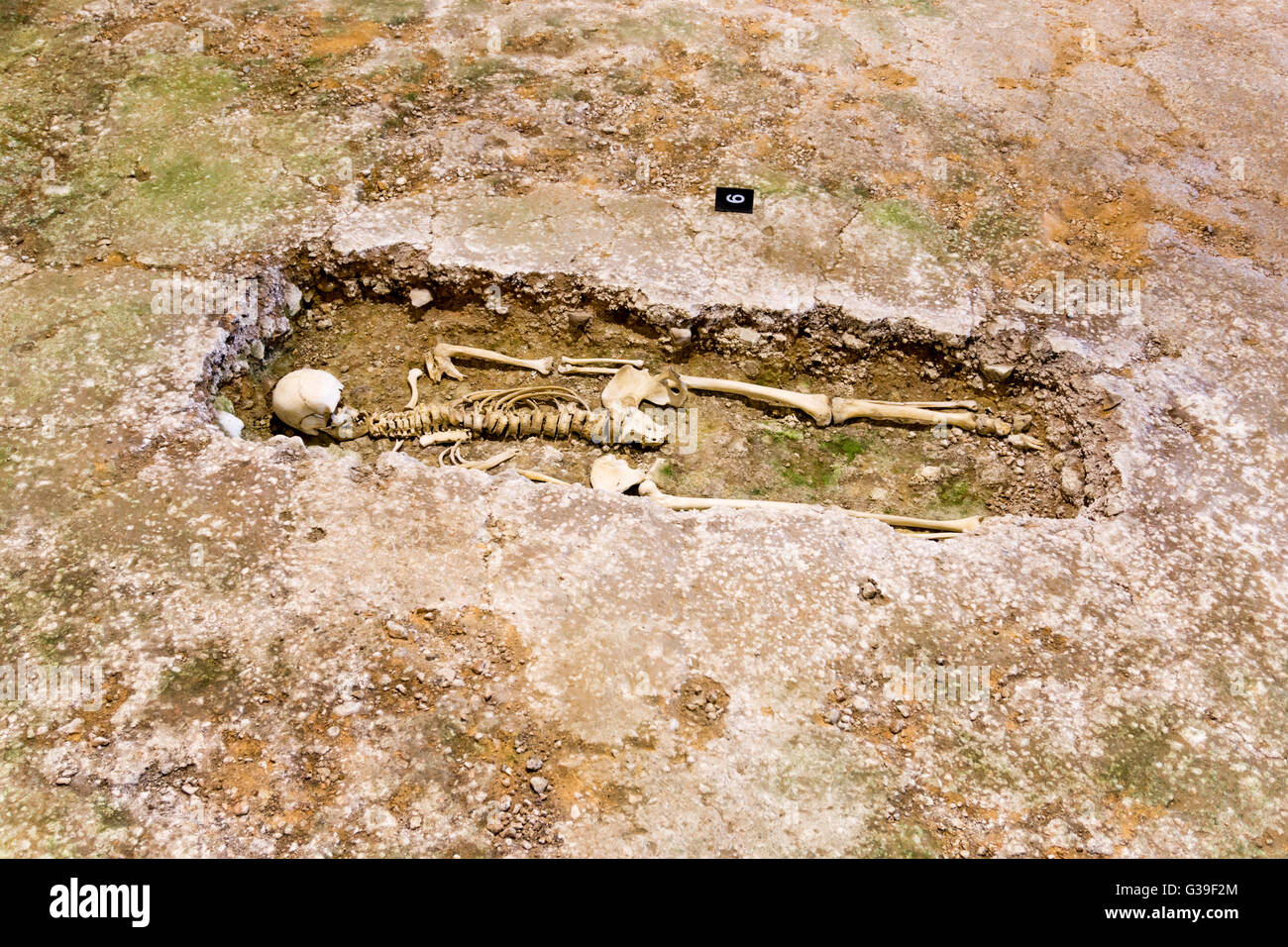 Uno scheletro umano scavato a Fishbourne villa romana è stato lasciato in situ per formare parte del display. Foto Stock