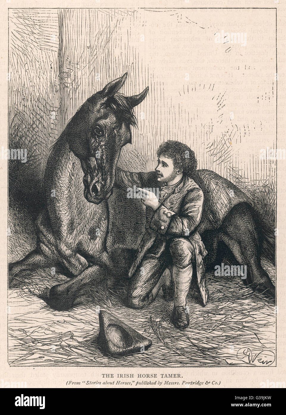 JAMES Sullivan, gli irlandesi "Whisperer del cavallo" di Dunhallow, nella contea di Cork (Irlanda), che era in grado di domare i cavalli quasi istantaneamente data: 1876 Foto Stock